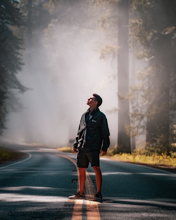 Portrait on a foggy redwood highway