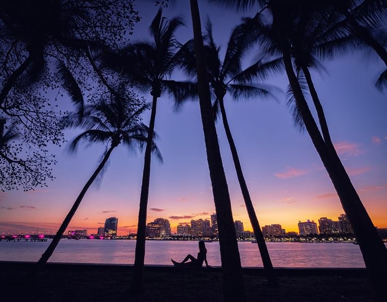 Silhouette under the palms at dusk